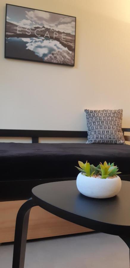 شقة Grenoble Hyper-Centre + Wifi + Netflix المظهر الخارجي الصورة